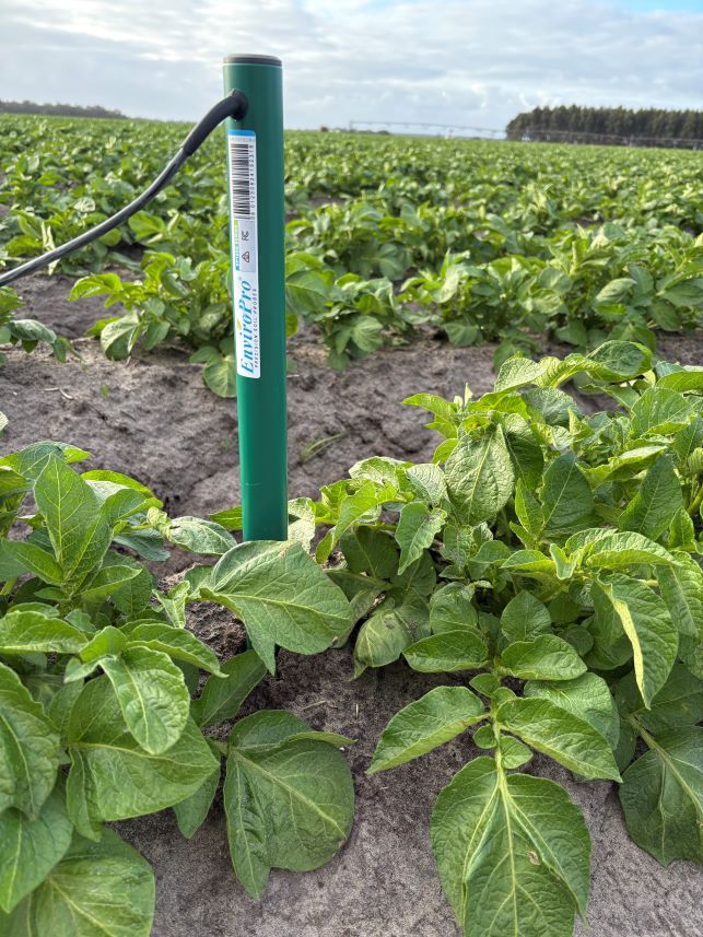 EnviroPro 80cm LITE probe for potatoes